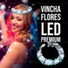 Combo Cotillon Luminoso Led 240 Articulos + Corona Y Labial! - Imagen 2