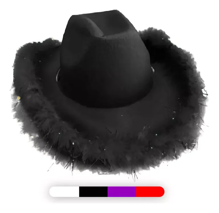 Sombrero-cowboy-liso-borde-plumas-negro
